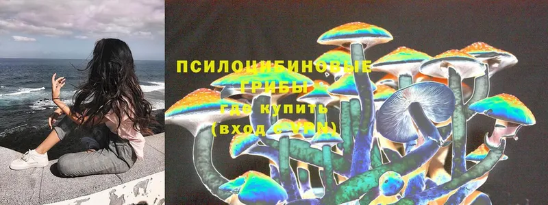 где найти   Барабинск  Псилоцибиновые грибы Magic Shrooms 